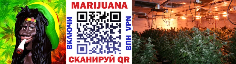 Купить  Мичуринск  Канабис сатива 